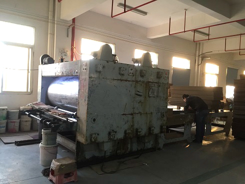 《一口气看完偷渡的女人》午夜高清完整版5